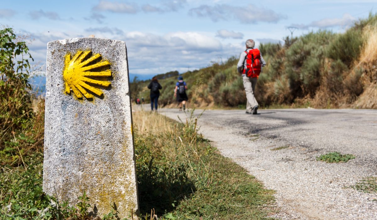 The,Yellow,Scallop,Shell,Signing,The,Way,To,Santiago,De