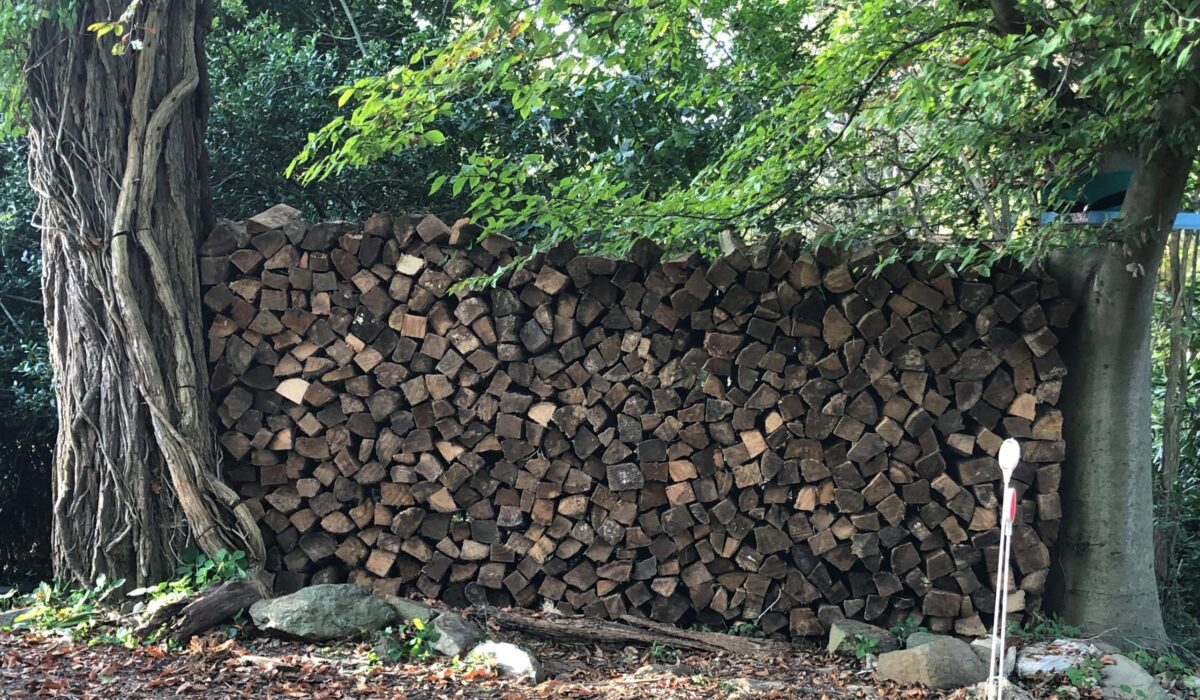 woodpile